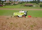 Claas Drescher 22